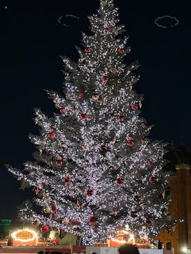 Christmas Market in 横浜赤レンガ倉庫 2025に投稿された画像（2025/12/17）