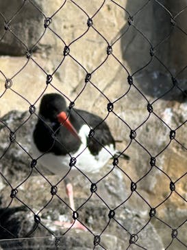 恩賜上野動物園に投稿された画像（2025/12/17）