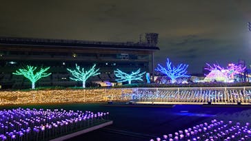東京メガイルミに投稿された画像（2025/12/17）