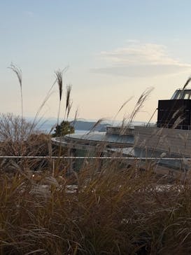 ヒルトン小田原リゾート&スパに投稿された画像（2025/12/17）