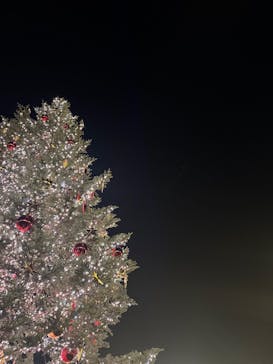 Christmas Market in 横浜赤レンガ倉庫 2025に投稿された画像（2025/12/17）