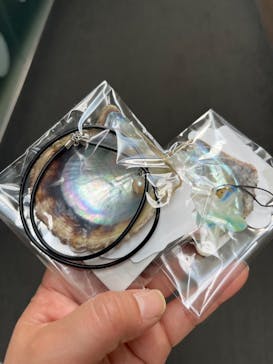 九十九島水族館海きららに投稿された画像（2025/12/17）