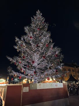 Christmas Market in 横浜赤レンガ倉庫 2025に投稿された画像（2025/12/17）