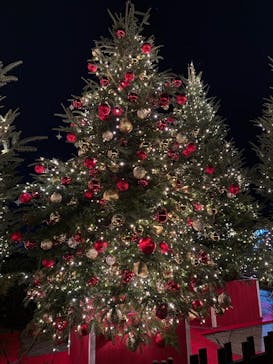 Christmas Market in 横浜赤レンガ倉庫 2025に投稿された画像（2025/12/17）