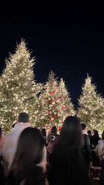 Christmas Market in 横浜赤レンガ倉庫 2025に投稿された画像（2025/12/17）