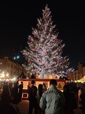 Christmas Market in 横浜赤レンガ倉庫 2025に投稿された画像（2025/12/17）