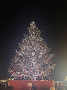 Christmas Market in 横浜赤レンガ倉庫 2025に投稿された画像（2025/12/17）