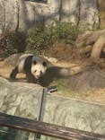 恩賜上野動物園に投稿された画像（2025/12/18）