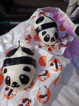 恩賜上野動物園に投稿された画像（2025/12/17）