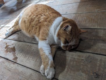 なめがわダイビングサービスに投稿された画像（2025/12/17）