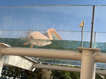 サンシャイン水族館に投稿された画像（2025/12/17）