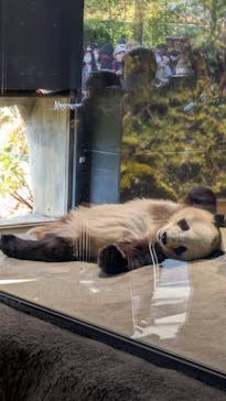 恩賜上野動物園に投稿された画像（2025/12/17）