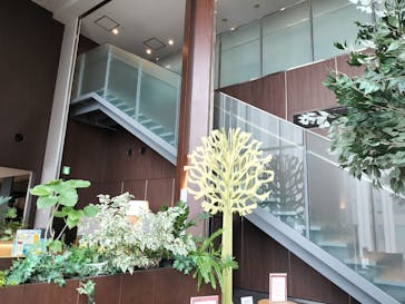 タイムズ スパ・レスタに投稿された画像（2025/12/18）