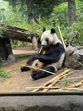 恩賜上野動物園に投稿された画像（2025/12/18）