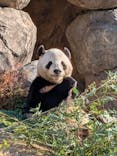 恩賜上野動物園に投稿された画像（2025/12/18）