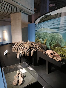 特別展「大絶滅展―生命史のビッグファイブ」に投稿された画像（2025/12/18）