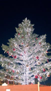 Christmas Market in 横浜赤レンガ倉庫 2025に投稿された画像（2025/12/18）