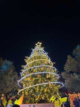 Christmas Market in 横浜赤レンガ倉庫 2025に投稿された画像（2025/12/18）