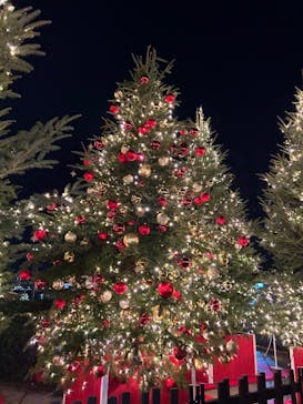 Christmas Market in 横浜赤レンガ倉庫 2025に投稿された画像（2025/12/18）