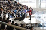 アクアワールド茨城県大洗水族館に投稿された画像（2025/12/18）