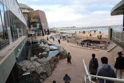 アクアワールド茨城県大洗水族館に投稿された画像（2025/12/18）