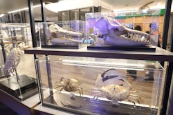 アクアワールド茨城県大洗水族館に投稿された画像（2025/12/18）