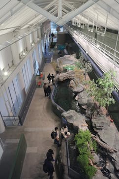 アクアワールド茨城県大洗水族館に投稿された画像（2025/12/18）