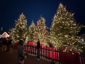 Christmas Market in 横浜赤レンガ倉庫 2025に投稿された画像（2025/12/18）