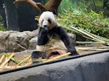 恩賜上野動物園に投稿された画像（2025/12/18）