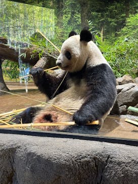 恩賜上野動物園に投稿された画像（2025/12/18）