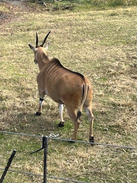天王寺動物園に投稿された画像（2025/12/18）