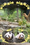恩賜上野動物園に投稿された画像（2025/12/18）