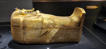 MYSTERY OF TUTANKHAMEN 体感型古代エジプト展に投稿された画像（2025/12/18）