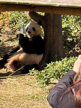 恩賜上野動物園に投稿された画像（2025/12/18）