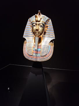 MYSTERY OF TUTANKHAMEN 体感型古代エジプト展に投稿された画像（2025/12/18）