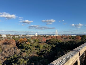 万博記念公園に投稿された画像（2025/12/18）