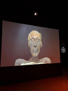 ACN ラムセス大王展 ファラオたちの黄金に投稿された画像（2025/12/18）