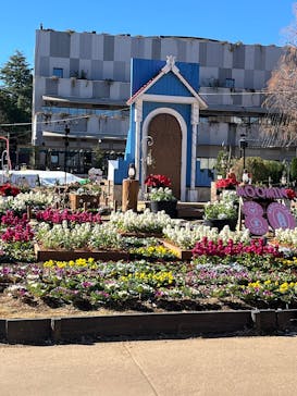 ムーミンバレーパークに投稿された画像（2025/12/18）