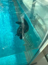 名古屋港水族館に投稿された画像（2025/12/18）