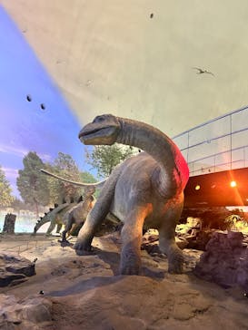 福井県立恐竜博物館に投稿された画像（2025/12/18）