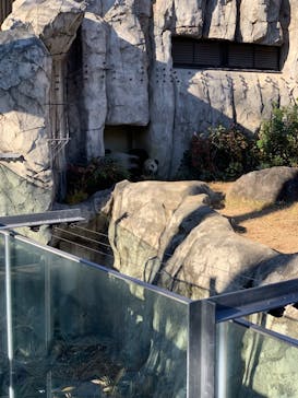 恩賜上野動物園に投稿された画像（2025/12/18）