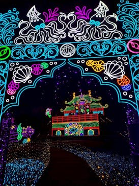 伊豆高原グランイルミに投稿された画像（2025/12/18）