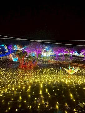 伊豆高原グランイルミに投稿された画像（2025/12/18）