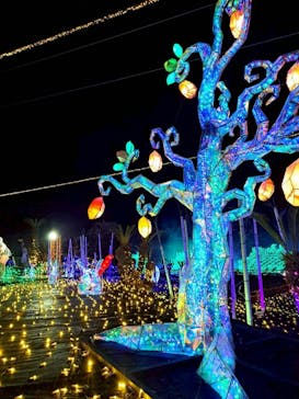 伊豆高原グランイルミに投稿された画像（2025/12/18）