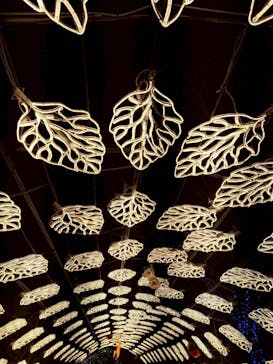 伊豆高原グランイルミに投稿された画像（2025/12/18）