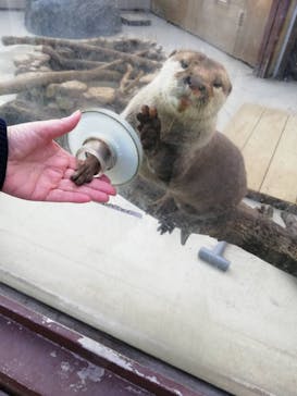 横浜・八景島シーパラダイスに投稿された画像（2025/12/18）