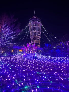 江の島シーキャンドルに投稿された画像（2025/12/18）