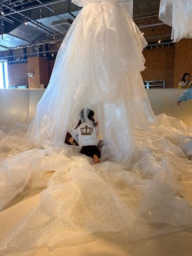 PLAY! PARKに投稿された画像（2025/12/18）