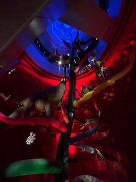 万博記念公園に投稿された画像（2025/12/18）