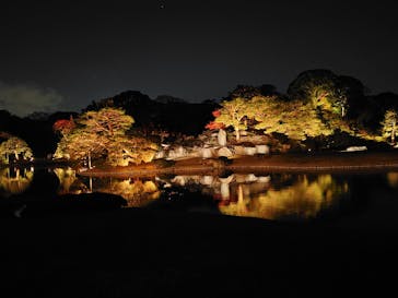 六義園に投稿された画像（2025/12/18）